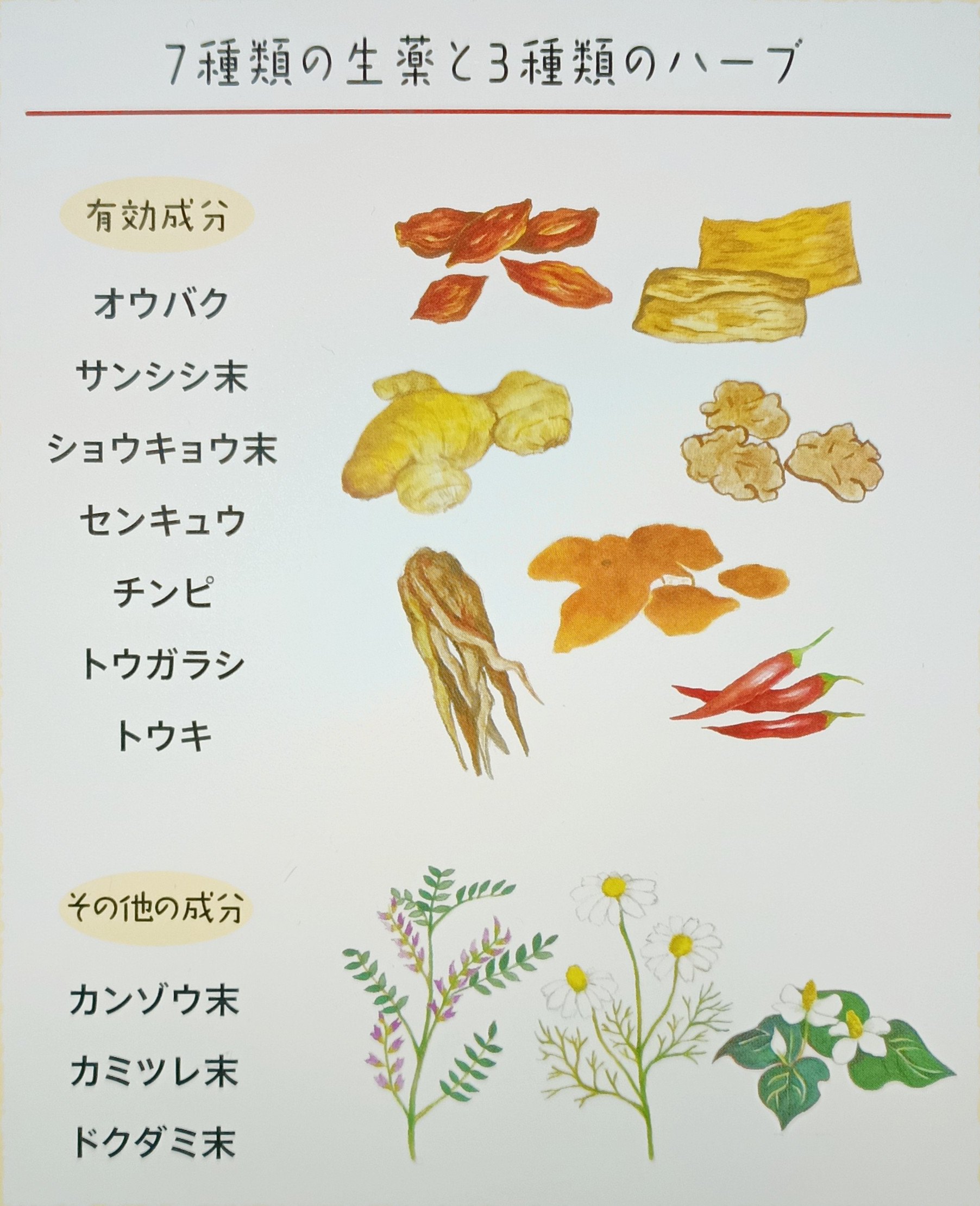 7種の生薬と3種のハーブ配合イラスト