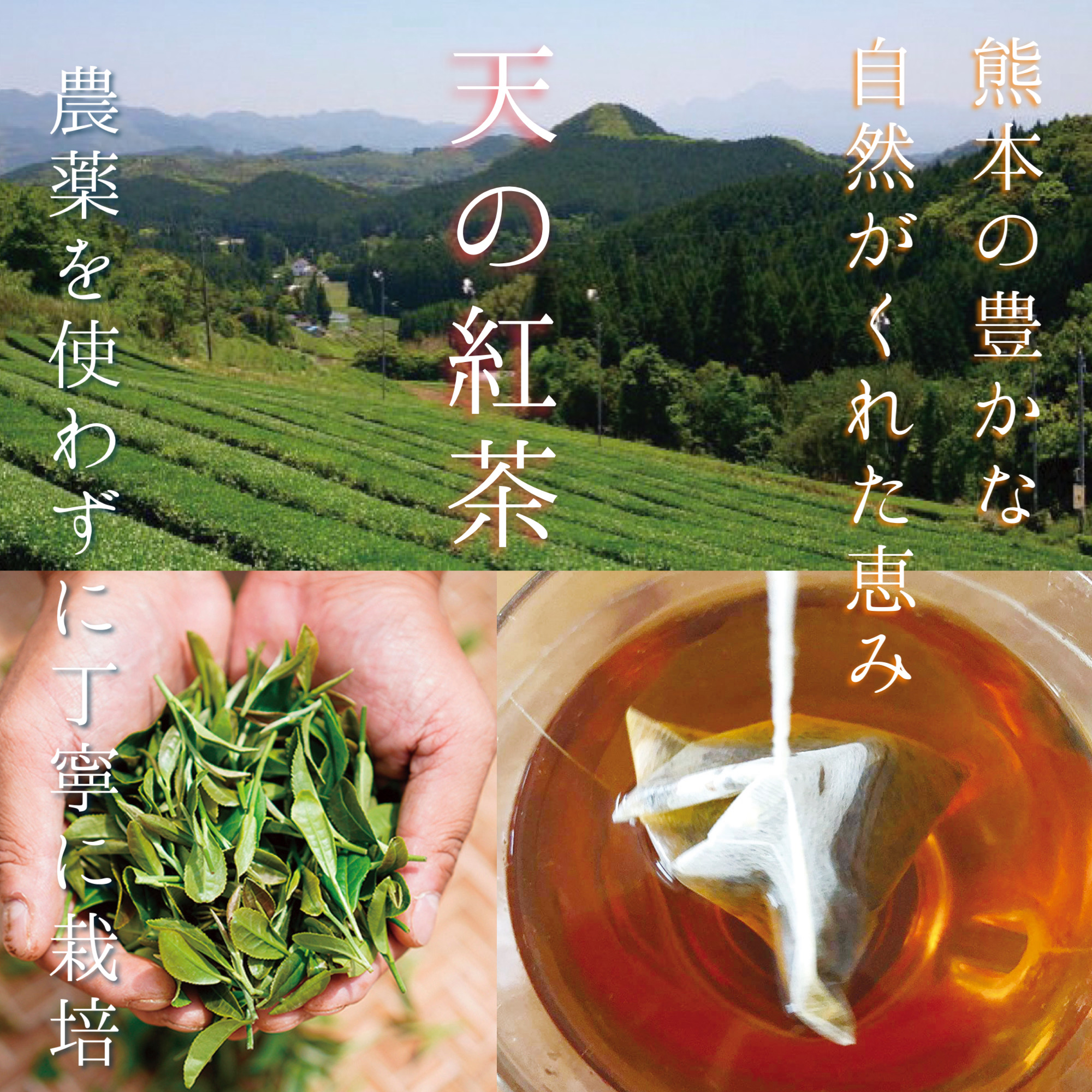 ほんの木通販サイト「自然なくらし」